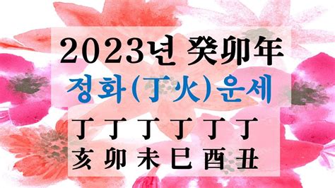 丁火2023